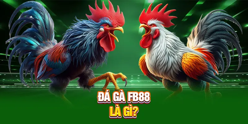 Đá Gà Mạng Fb88